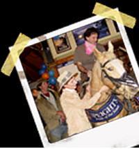 Photo Galleries from Schnapps - Ruapehu, Tongariro, Whanganui - North Island, New Zealand